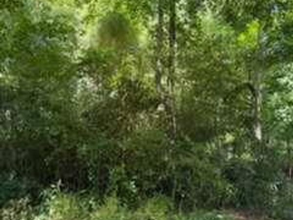 0 Windsor Way , Newnan, GA 30263