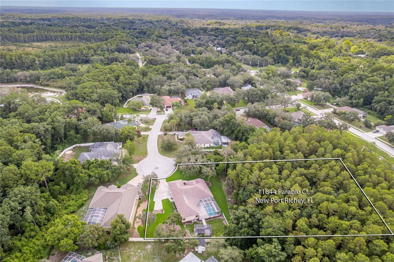 11644 Parable Court, New Port Richey, FL 34654 Photo