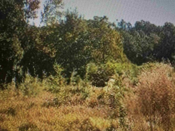 7410 Floyd Dr, Pensacola, FL 32526