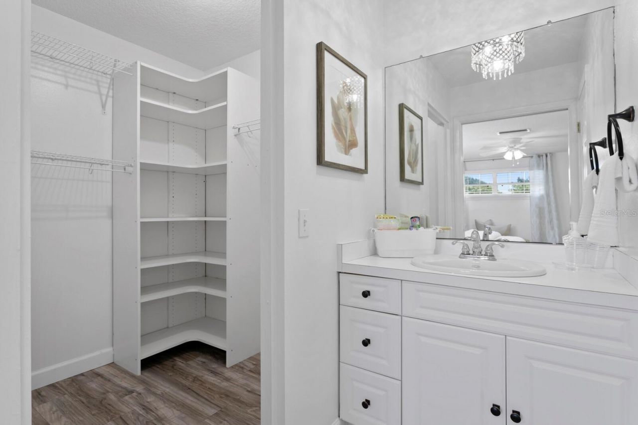 14009 Dominion Court, Tampa, FL 33613 Photo