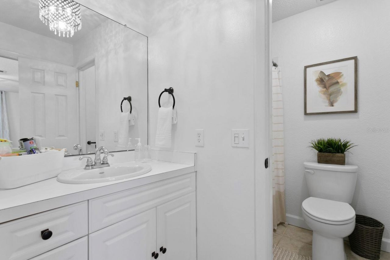 14009 Dominion Court, Tampa, FL 33613 Photo