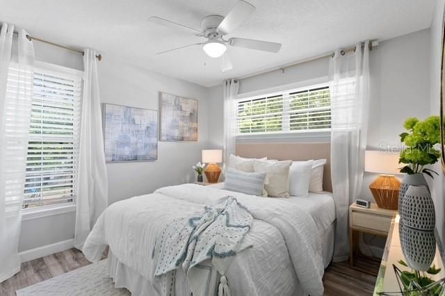 14009 Dominion Court, Tampa, FL 33613 Photo