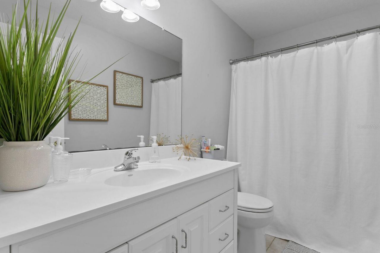 14009 Dominion Court, Tampa, FL 33613 Photo