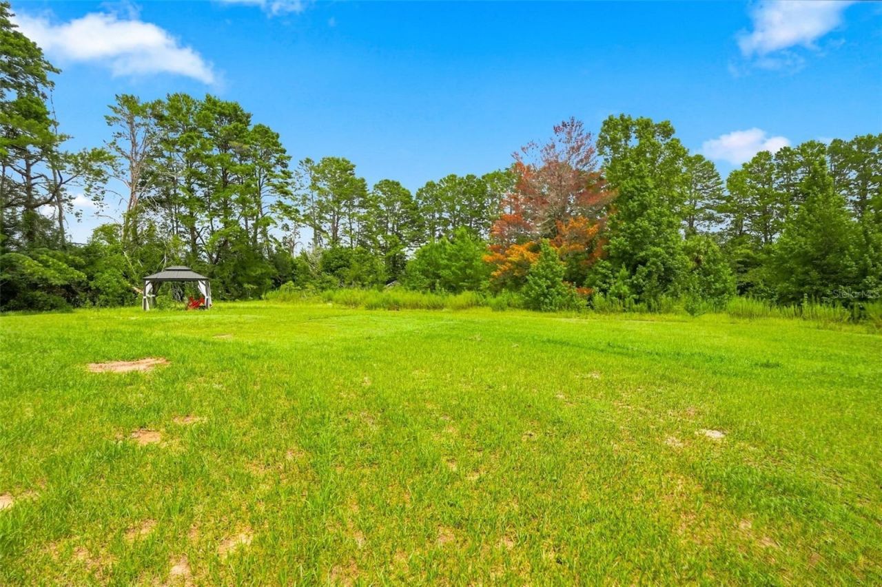 5285 S Hills Point, Lecanto, FL 34461 Photo