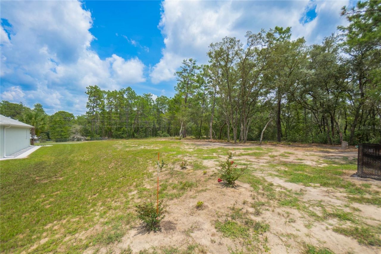 4136 W Findlay Street , Citrus Springs, FL 34433 Photo