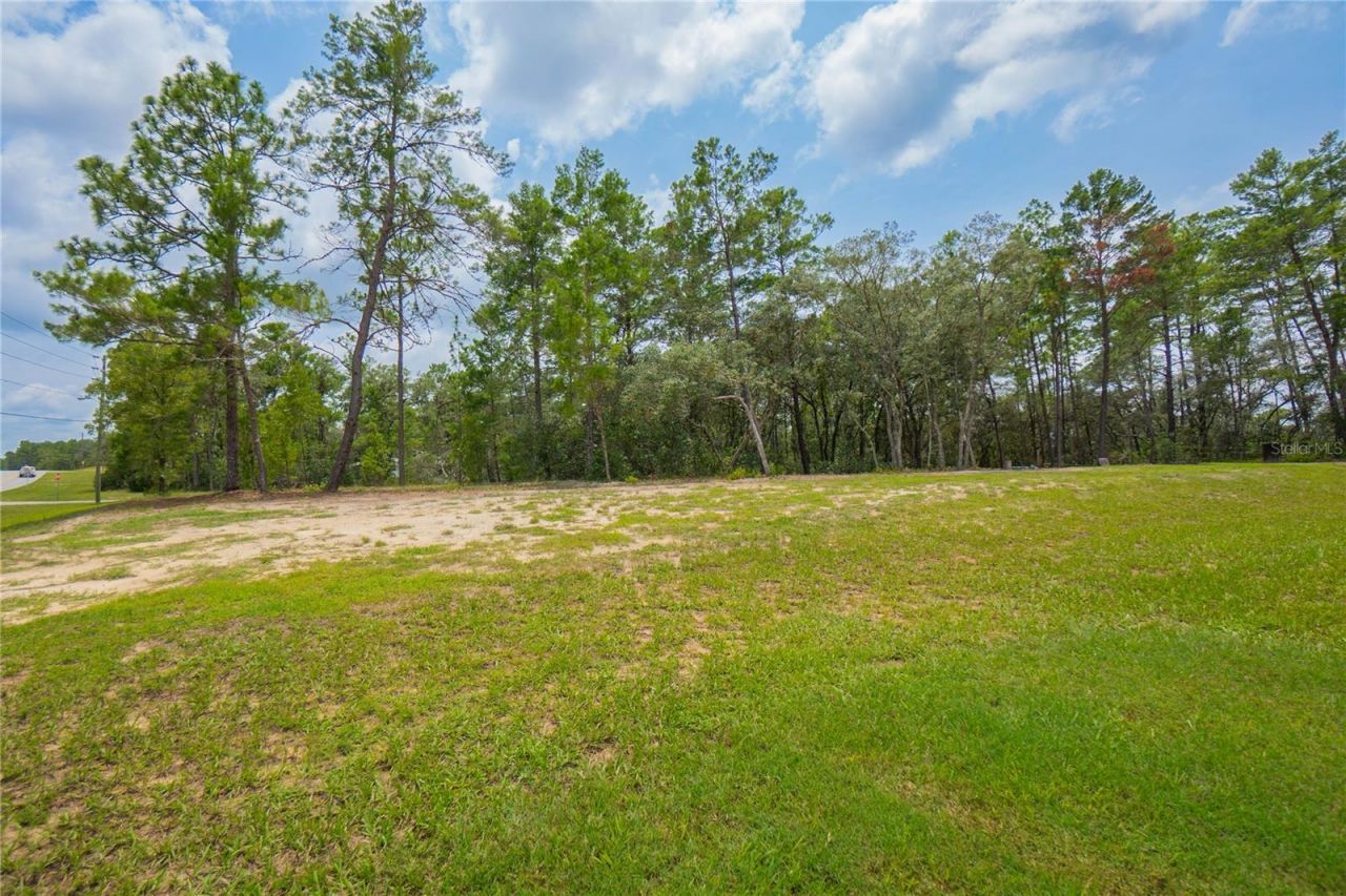 4136 W Findlay Street , Citrus Springs, FL 34433 Photo