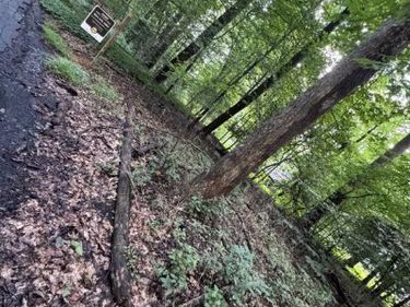 STERLING MONTAGUE DRIVE , GREAT FALLS, VA 22066