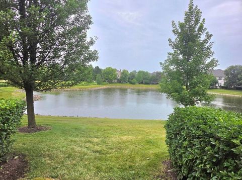 Main Photo