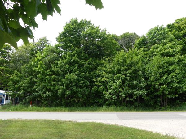 0 E Lake Avenue, Burt Twp, MI 49839
