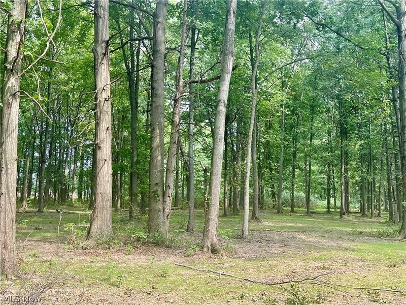 Lot 6 Course View Circle, Westlake, OH 44145 Photo 3