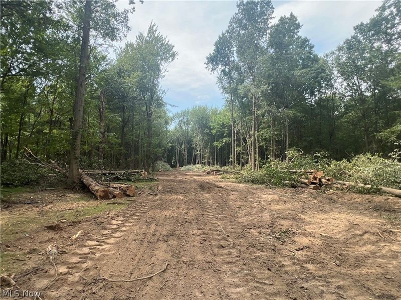 Lot 6 Course View Circle, Westlake, OH 44145 Photo 6