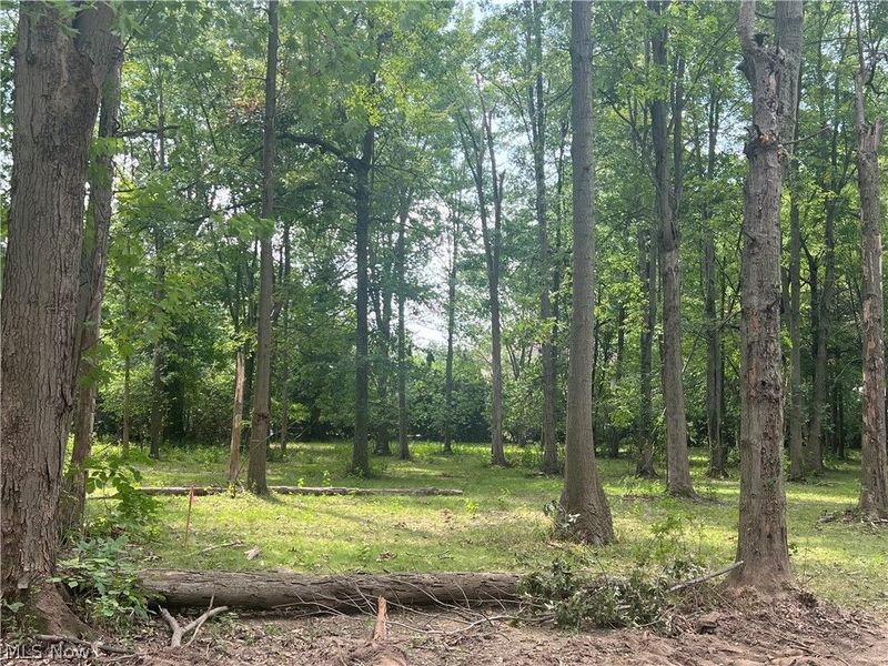 Lot 12 Course View Circle, Westlake, OH 44145 Photo 1