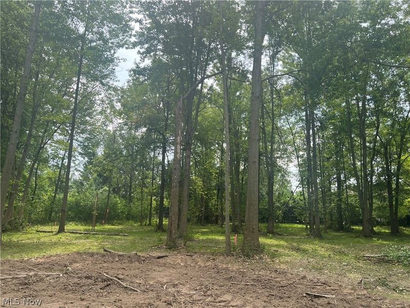 Lot 13 Course View Circle, Westlake, OH 44145 Photo 1