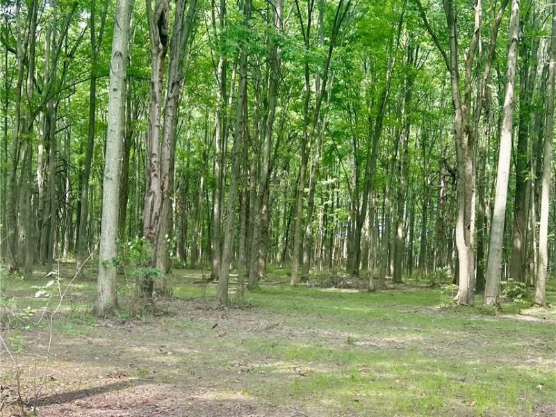 Lot 9 Course View Circle, Westlake, OH 44145 Photo 1