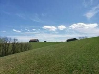 317 Cane Run Road, Carlisle, KY 40311