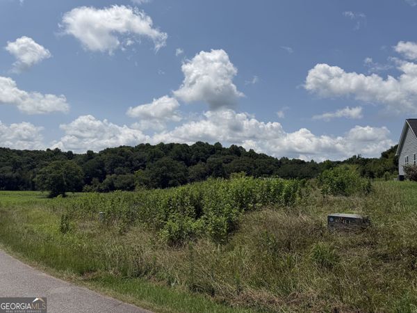 0 Middle Fork Lane, Unit 2,4, Carnesville, GA 30521