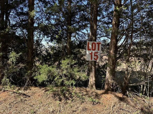 131 Oak Road, Unit LOT 15, Locust Grove, GA 30248