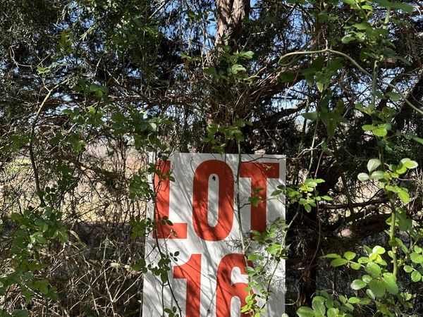 139 Oak Road, Unit LOT 16, Locust Grove, GA 30248