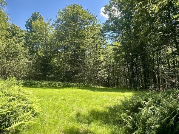 White Rock Drive , Forest City, PA 18421