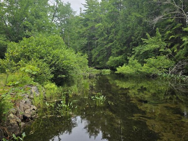 217 Heath Road, Wakefield, NH 03872