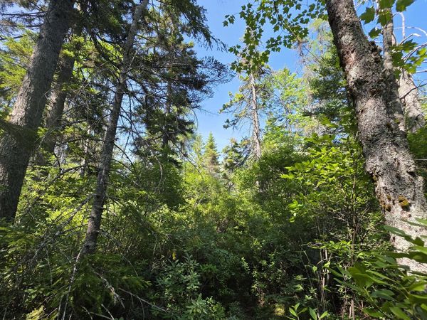 Map 1 Lot 10-2 Patten Rd , Jonesboro, ME 04648