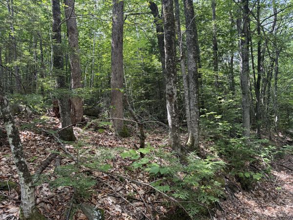 R3 L 2-2 Hampshire Hill Road , Mercer, ME 04957