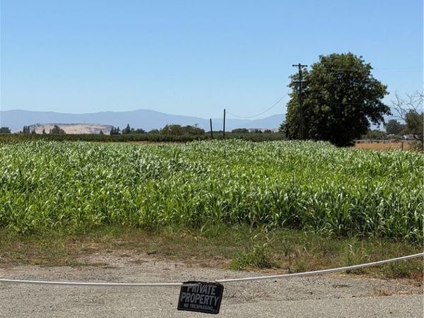 4275 County Road 99w , Orland, CA 95963
