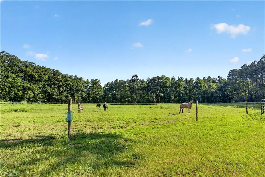 7934 Chapel Hill Church Road, Denton, NC 27239 Main Photo