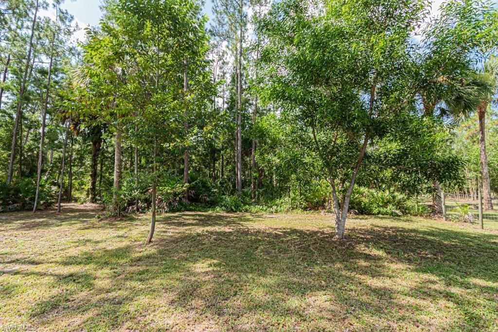 4340 4th Ave Se, Naples, FL 34117 Photo