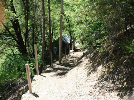 104 Main St, Downieville, CA 95936 Photo