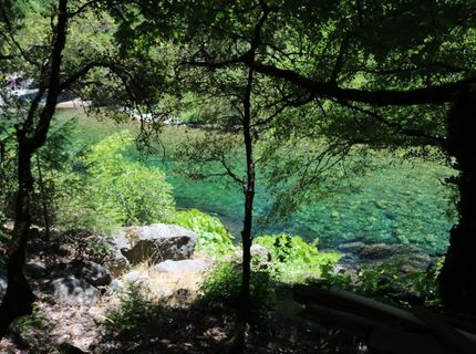 104 Main St, Downieville, CA 95936 Photo