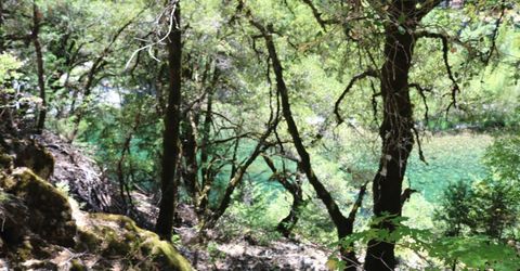 104 Main St, Downieville, CA 95936 Photo