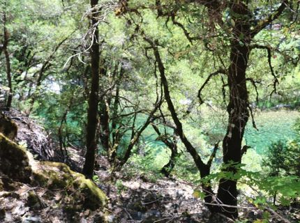 104 Main St, Downieville, CA 95936 Photo