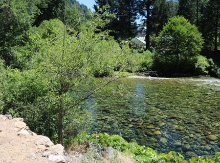 104 Main St, Downieville, CA 95936 Photo