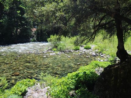 104 Main St, Downieville, CA 95936 Photo