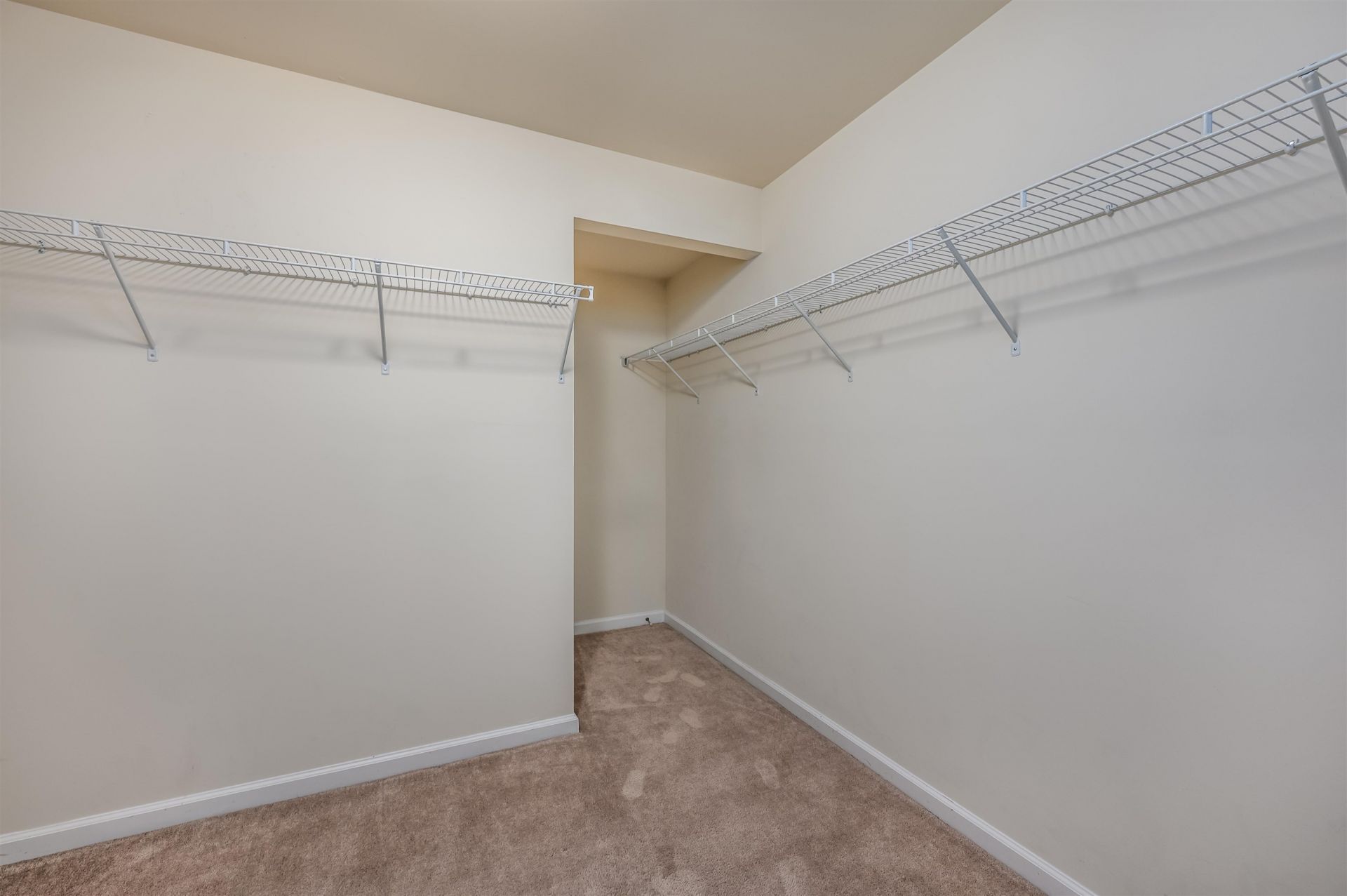 1305 Golden Valley Pl.  Photo 19