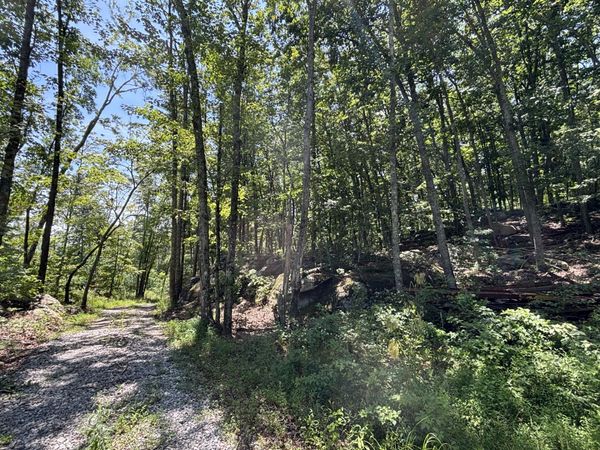 0 Lee Station Mountain Road Road, Pikeville, TN 37367