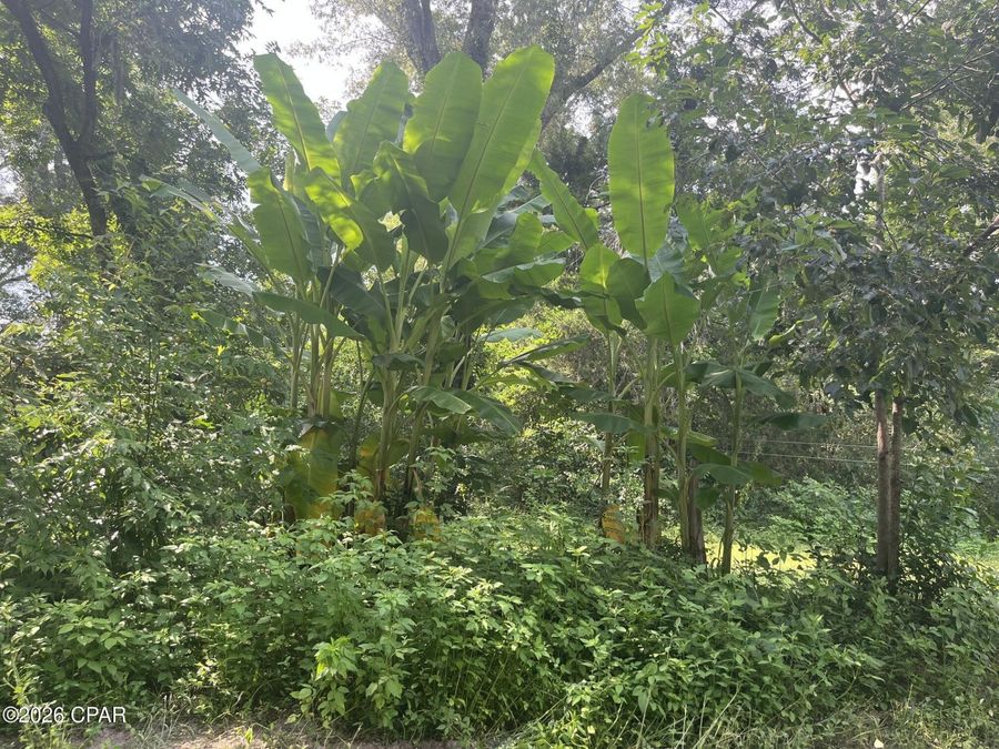 Property Image 60