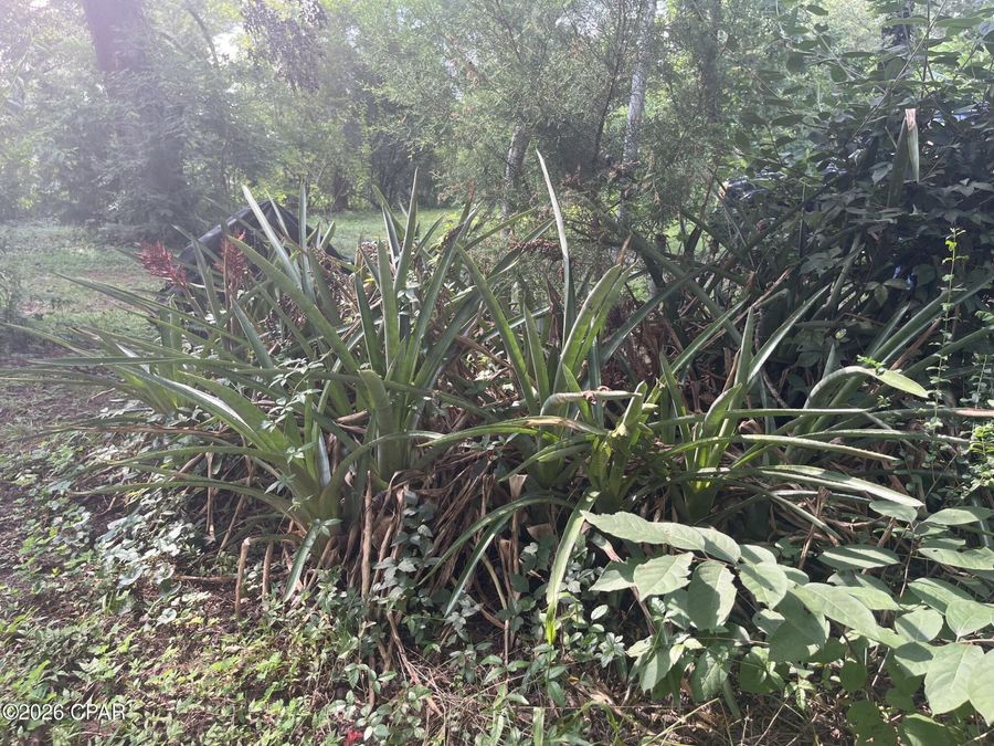 Property Image 62