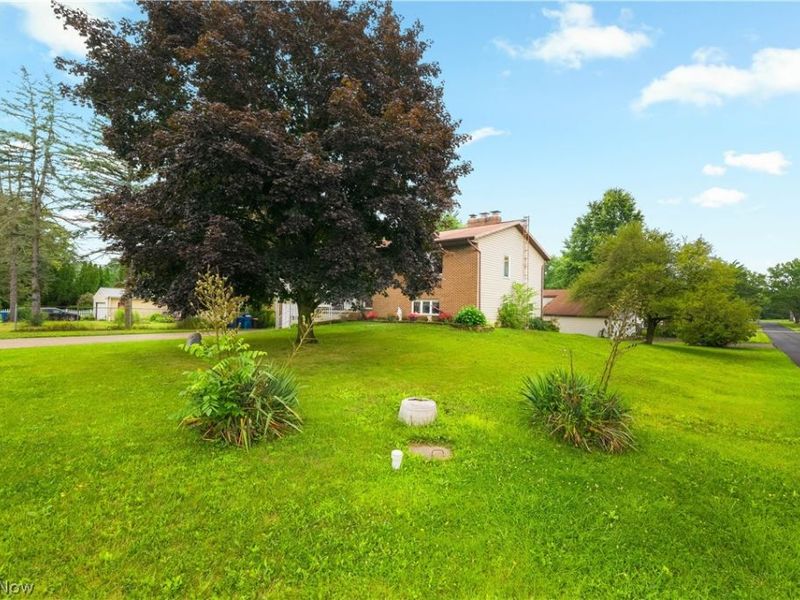4249 Tapper Road, Norton, OH 44203 Photo 4