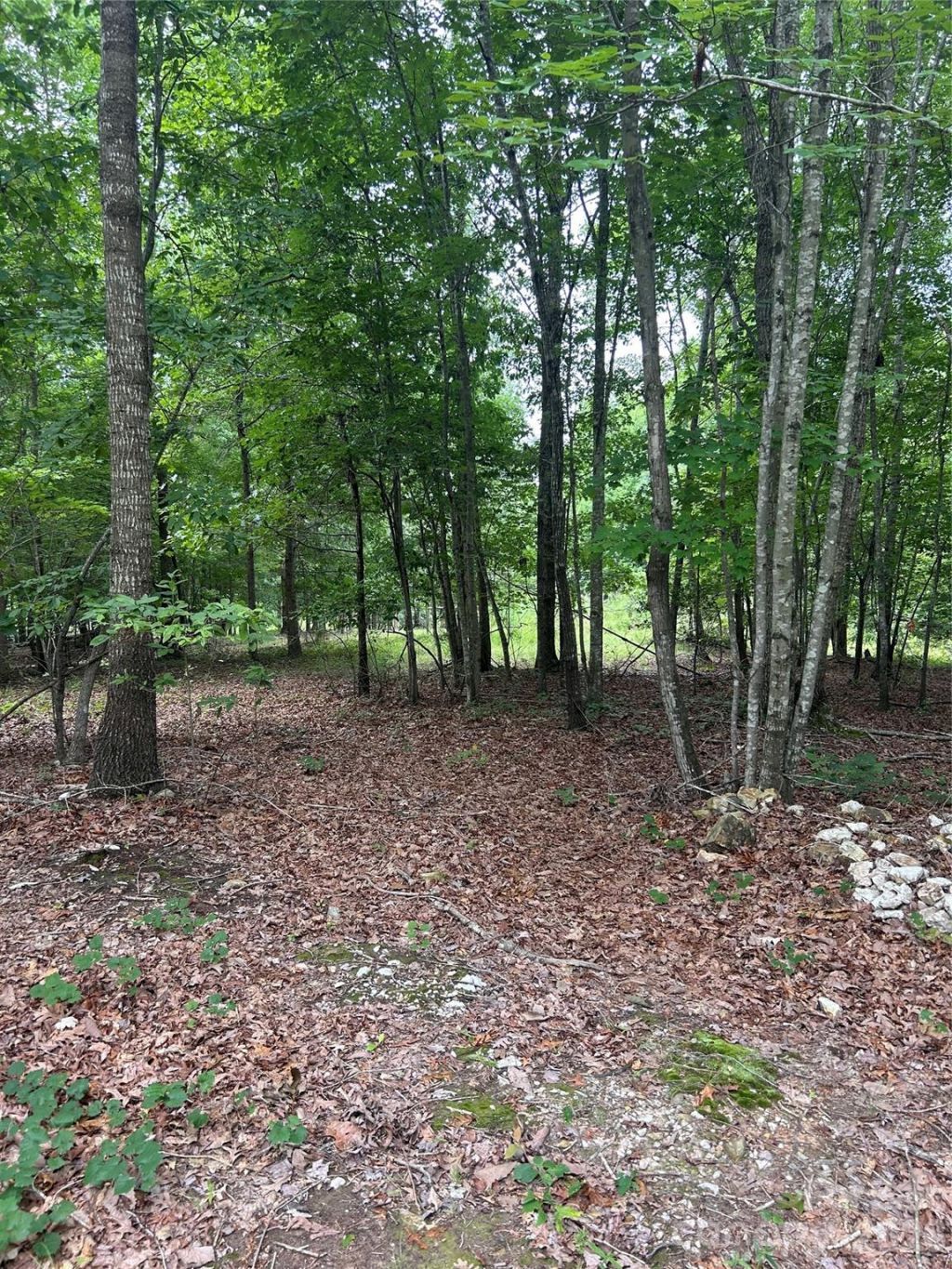 00 Wadeville Road , Mount Gilead, NC 27306 Main Photo