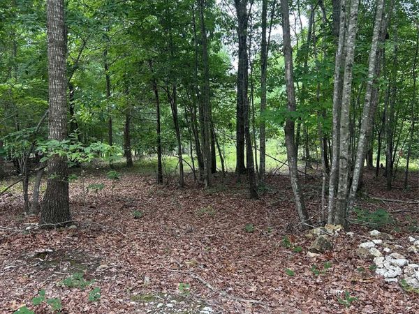 00 Wadeville Road , Mount Gilead, NC 27306