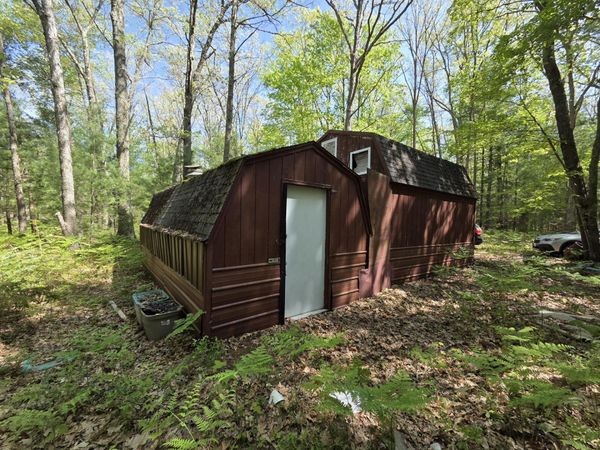 10622 W 7 Mile Road, Irons, MI 49644