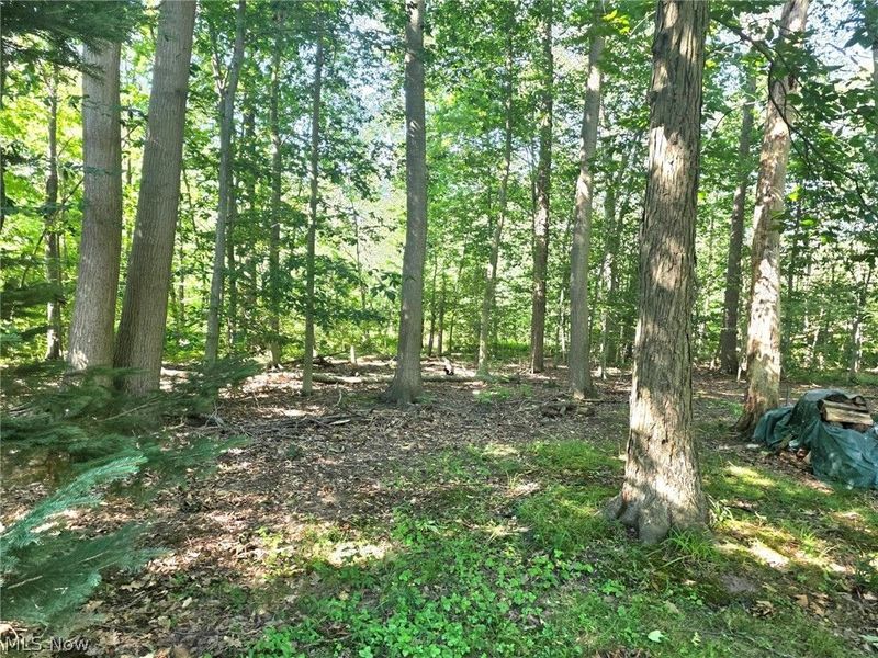 7415 Avon Lane, Chesterland, OH 44026 Photo 24