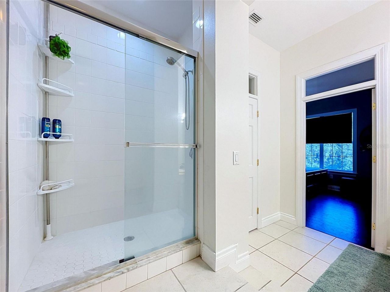 2918 Magnolia Trace, Tarpon Springs, FL 34688 Photo