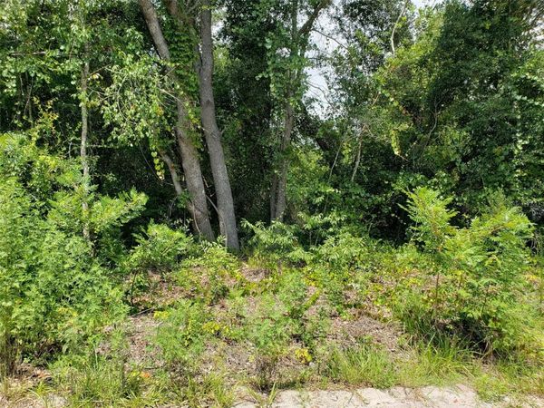 PINE VALLEY DRIVE , PAISLEY, FL 32767