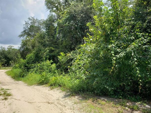 PINE VALLEY DRIVE , PAISLEY, FL 32767