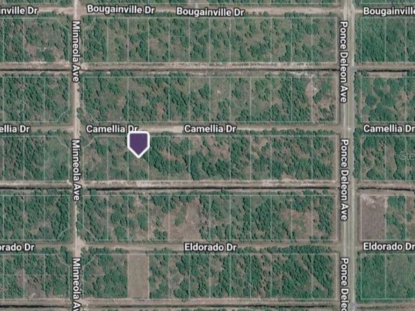 419 CAMELLIA DRIVE , INDIAN LAKE ESTATES, FL 33855