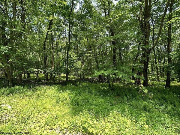 Lot 94 East Alpine Drive, Terra Alta, WV 26764