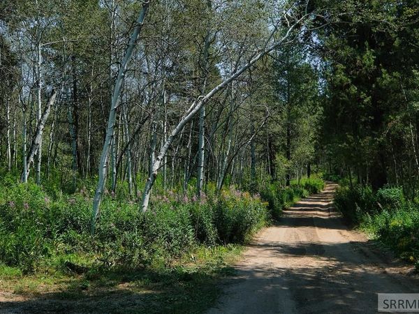 12380 Woodland Hills Road, TETONIA, ID 83452
